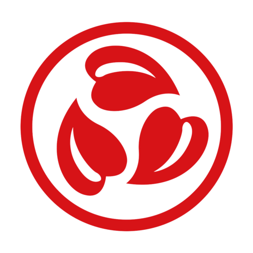 中国老龄事业发展基金会logo.png